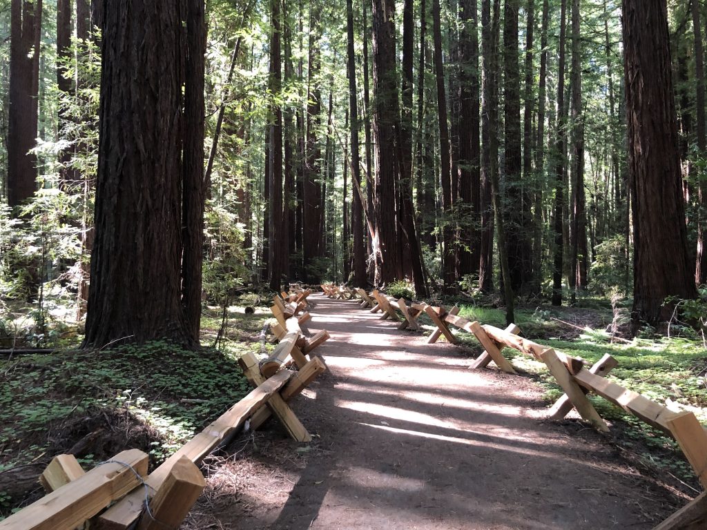 Armstrong Redwoods State Natural Reserve
